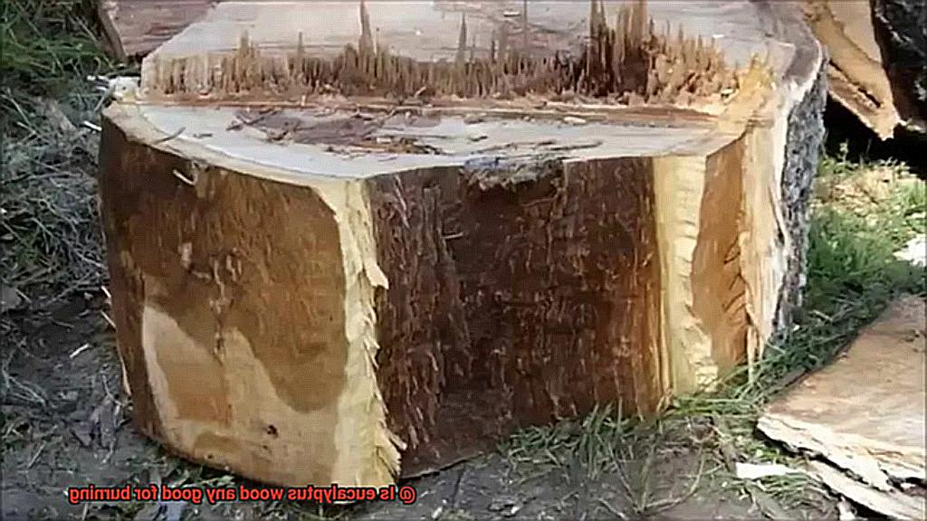 Is eucalyptus wood any good for burning-5