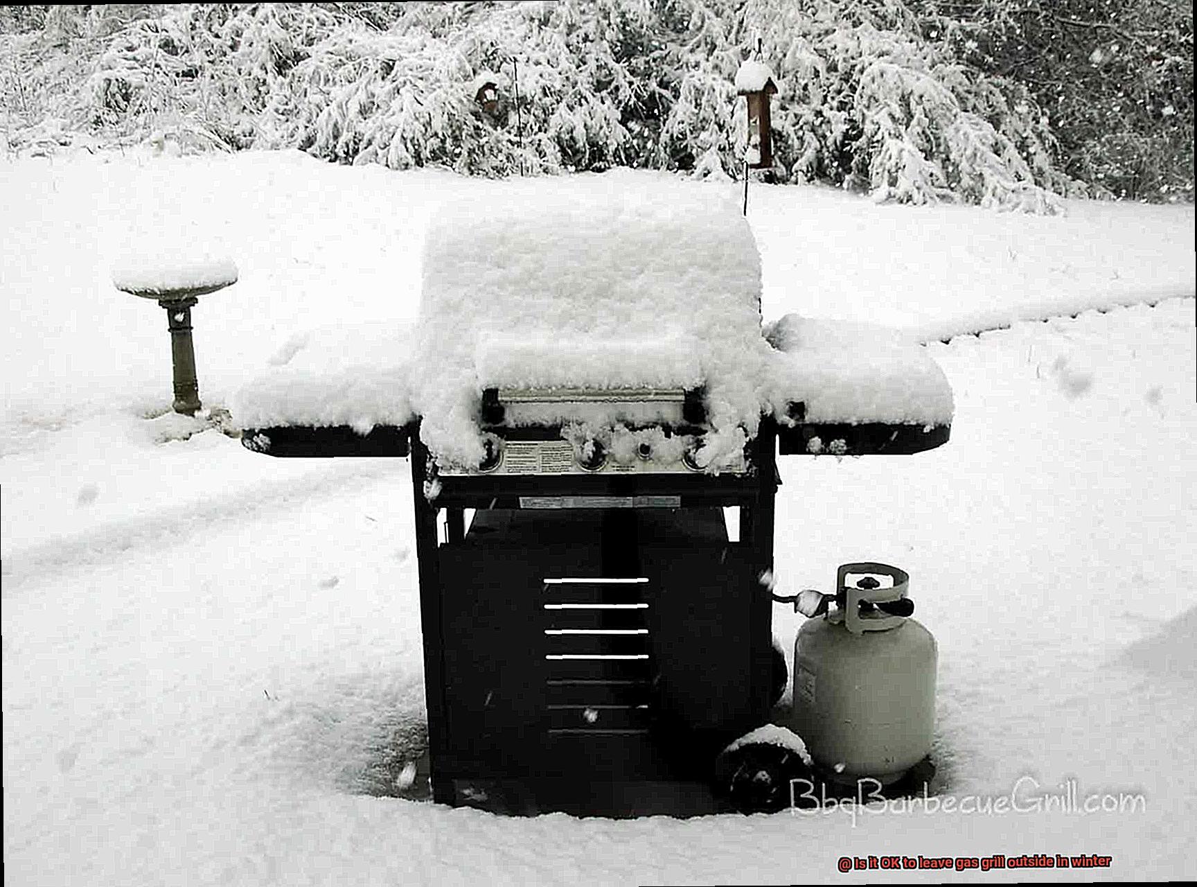 Is it OK to leave gas grill outside in winter-7