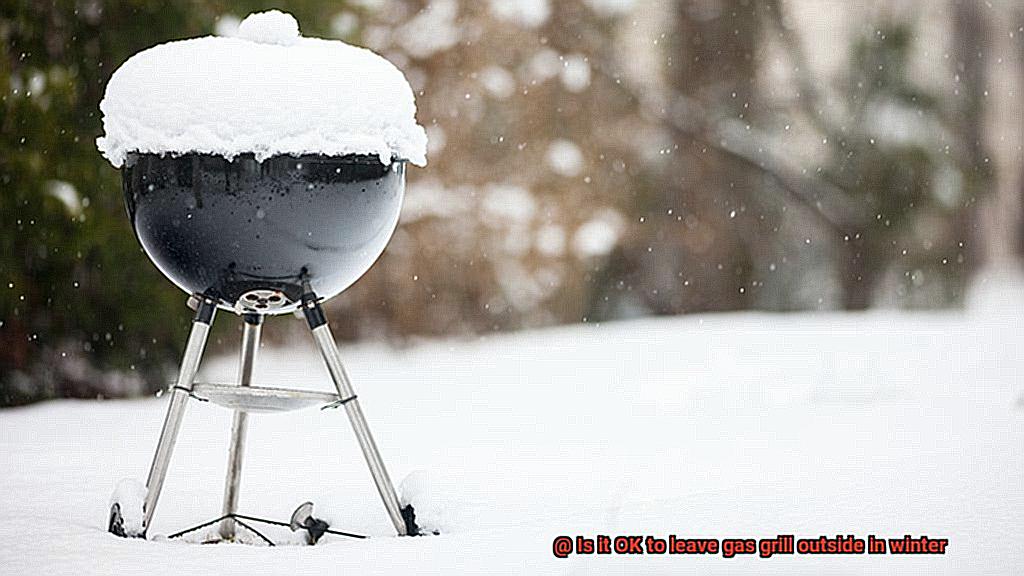 Is it OK to leave gas grill outside in winter-2