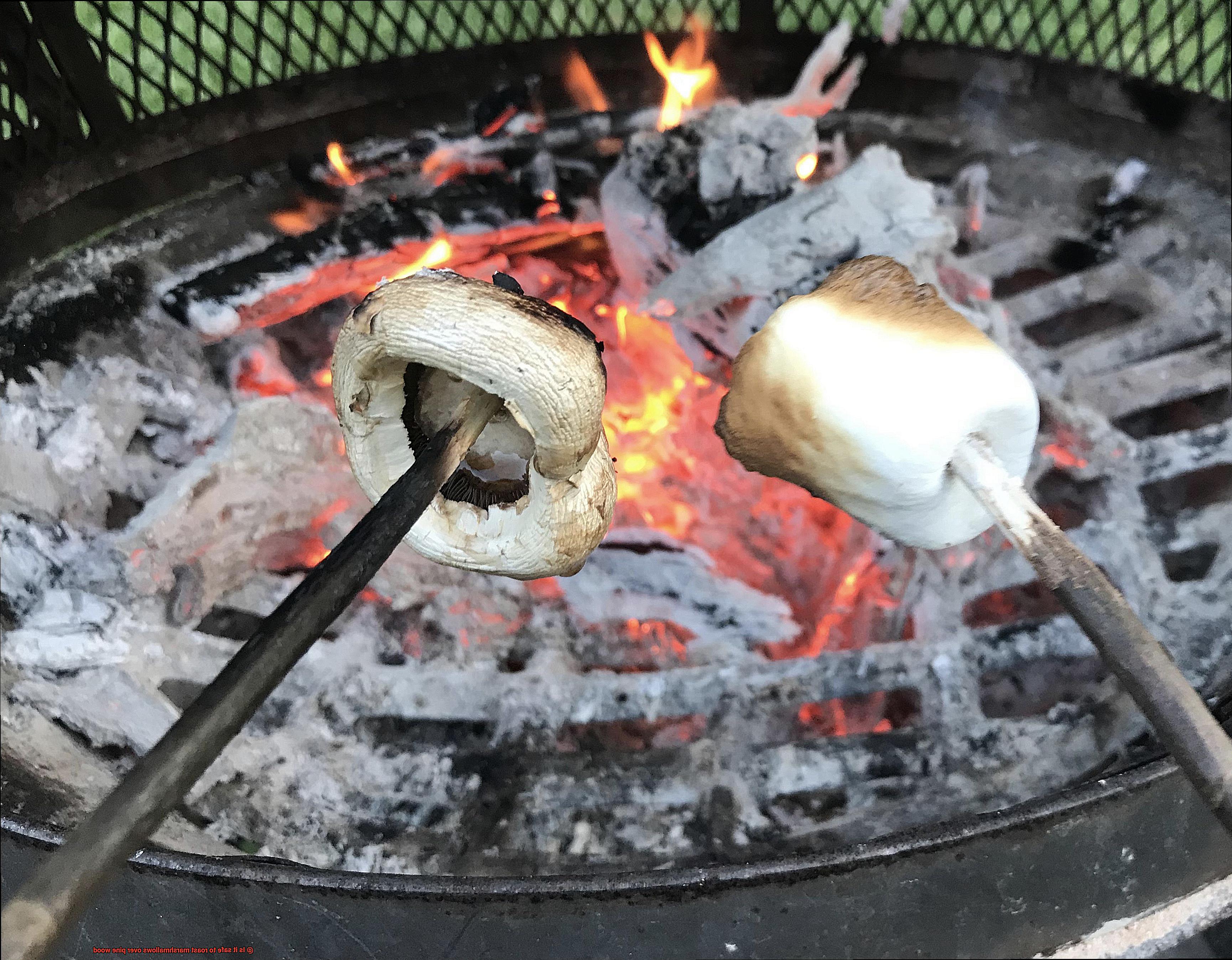 Is it safe to roast marshmallows over pine wood-4