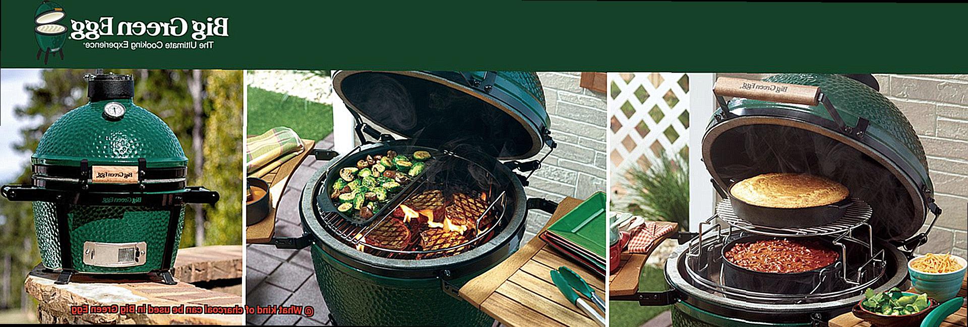 What kind of charcoal can be used in Big Green Egg-2