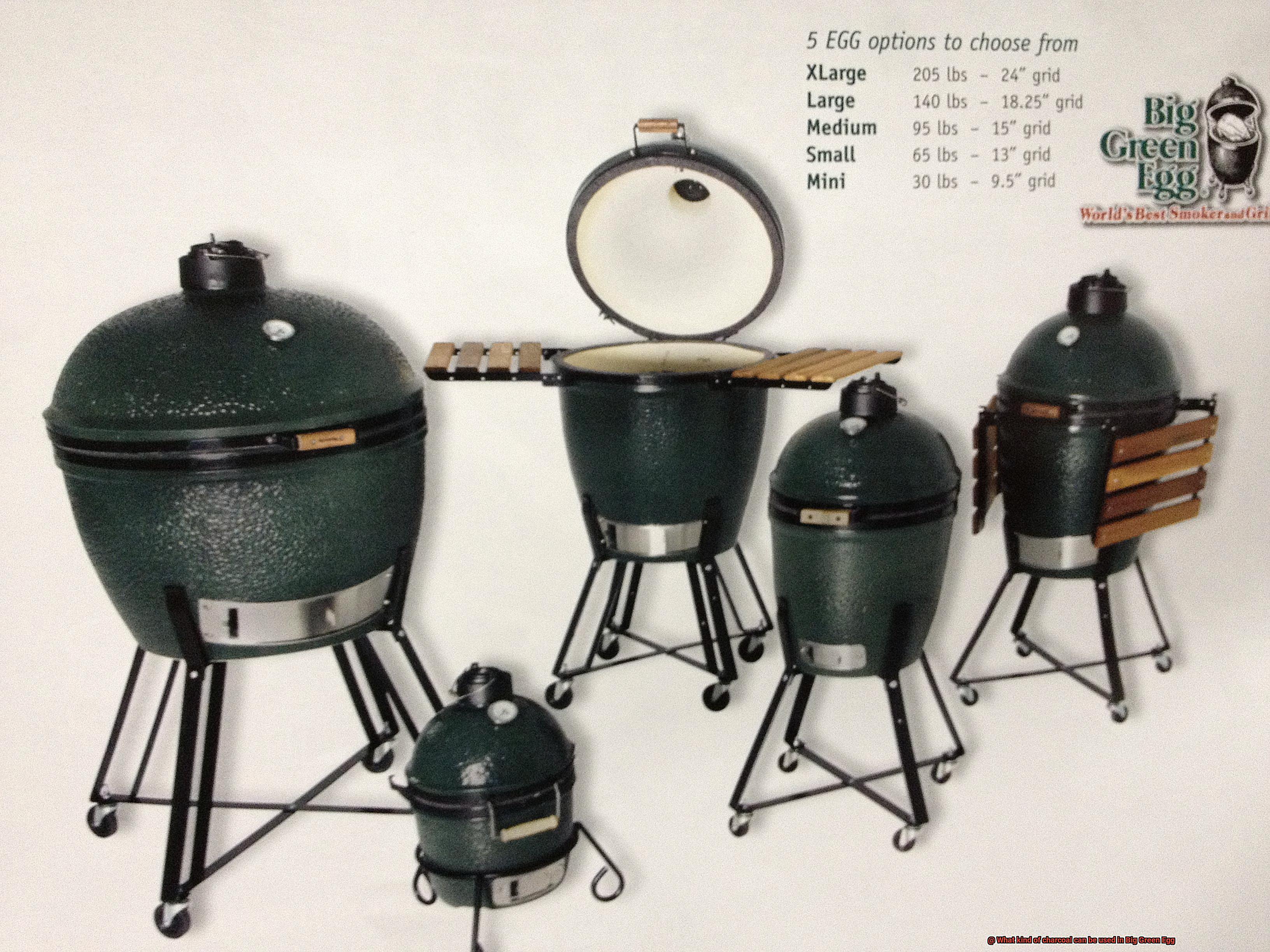 What kind of charcoal can be used in Big Green Egg-5