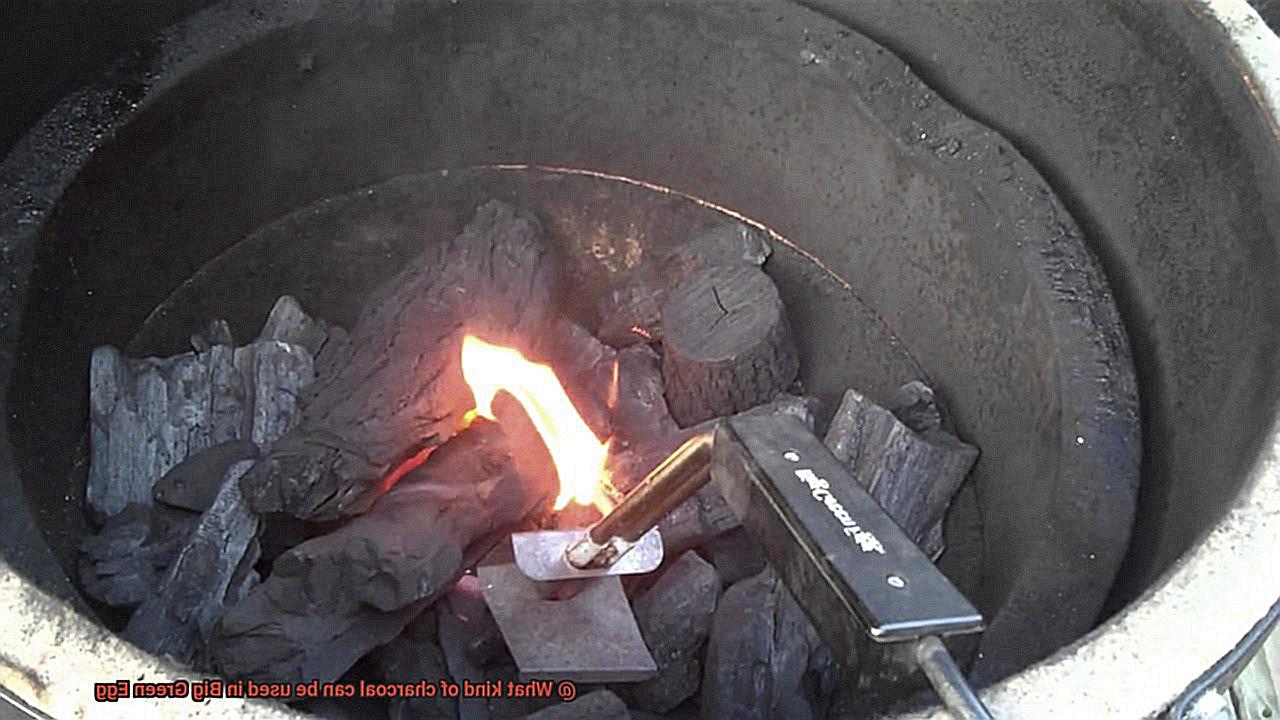 What kind of charcoal can be used in Big Green Egg-4