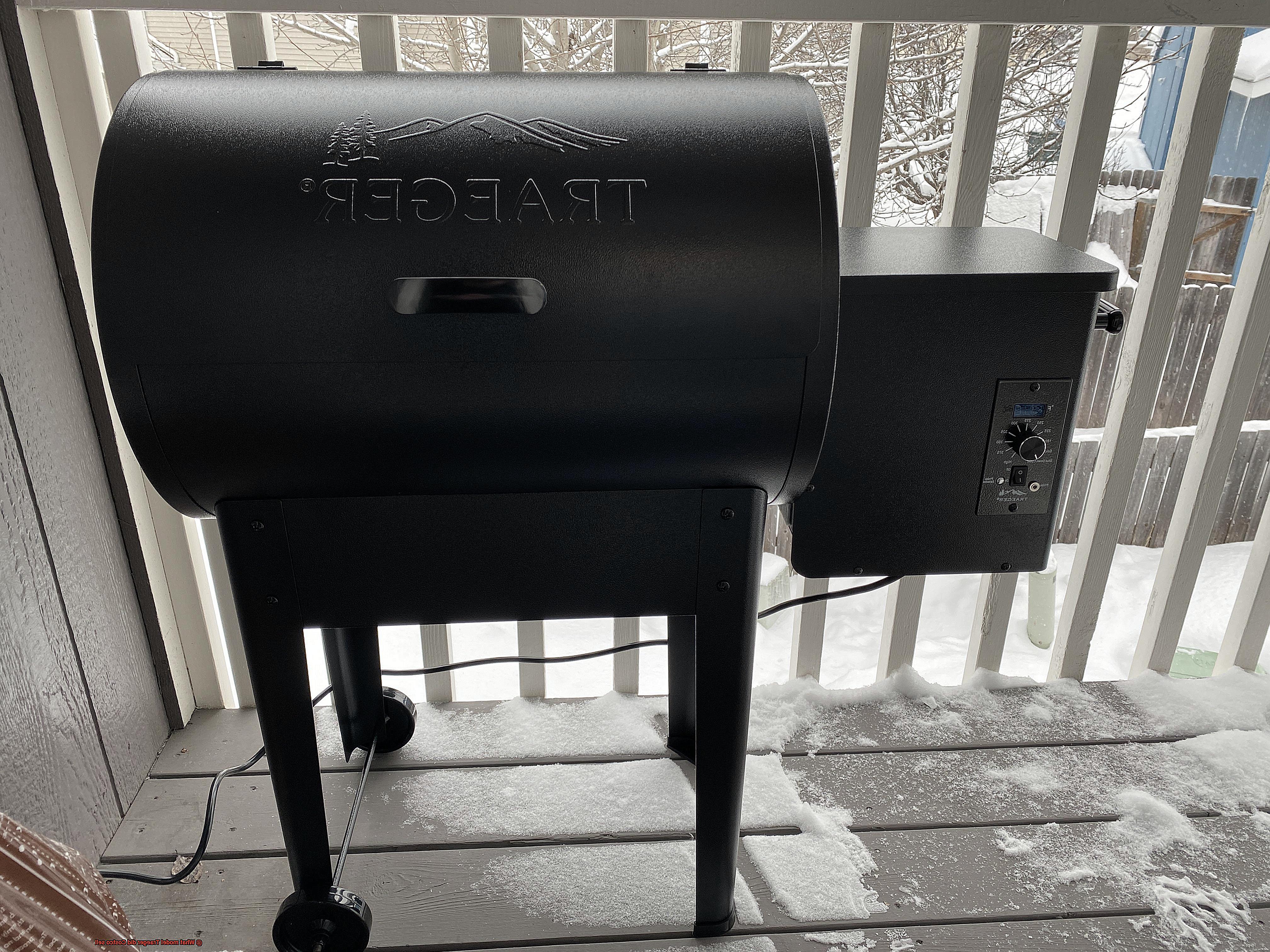 What model Traeger did Costco sell-2