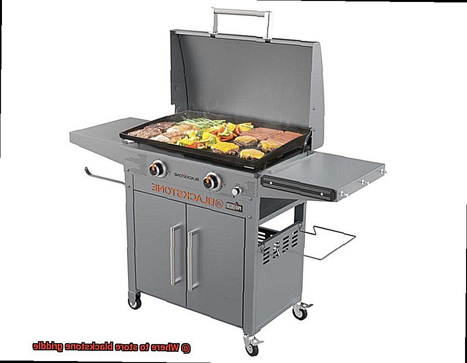 Where to store blackstone griddle-2