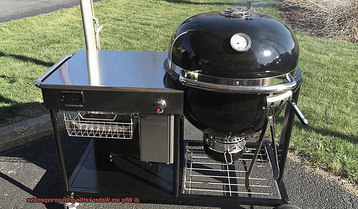 Why are Weber kettle grills so expensive-3