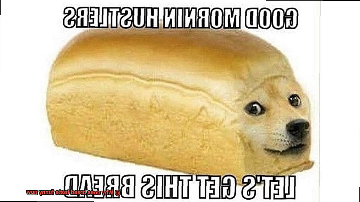 Why does bread taste funny now-7