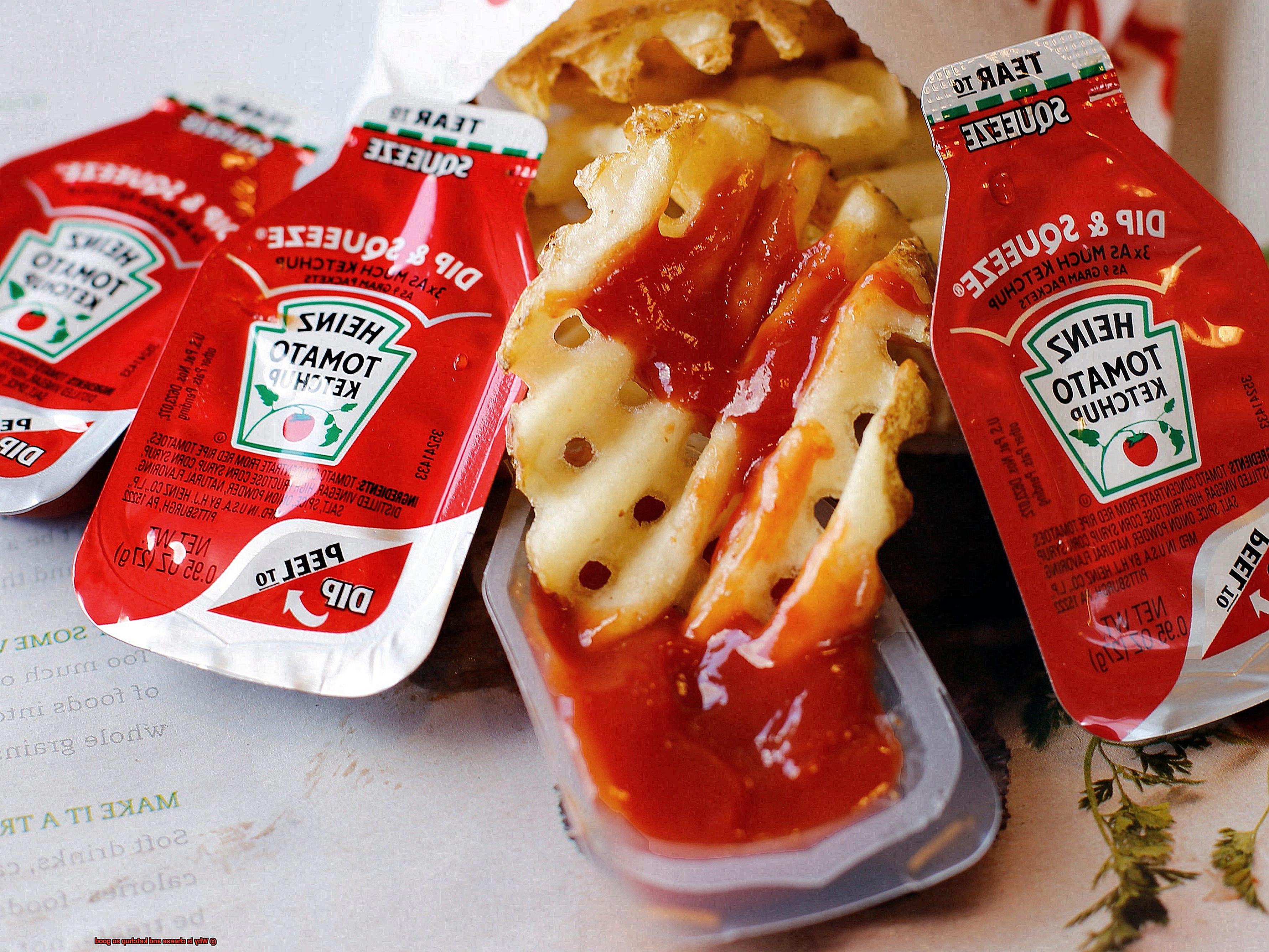 Why is cheese and ketchup so good-2