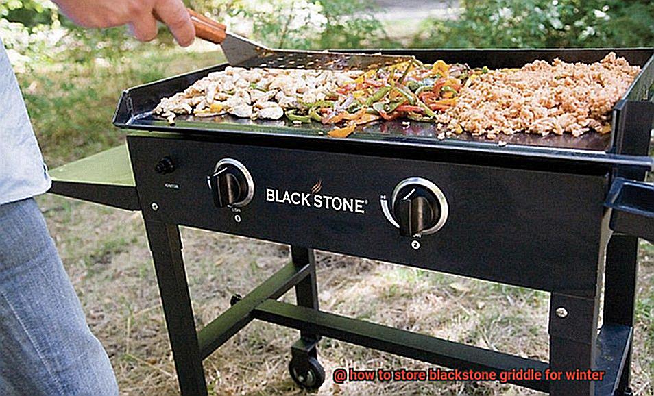 how to store blackstone griddle for winter-3