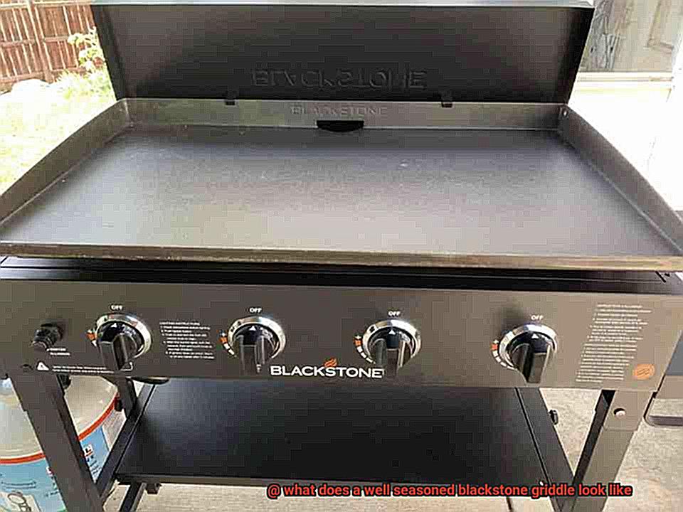 what does a well seasoned blackstone griddle look like-5