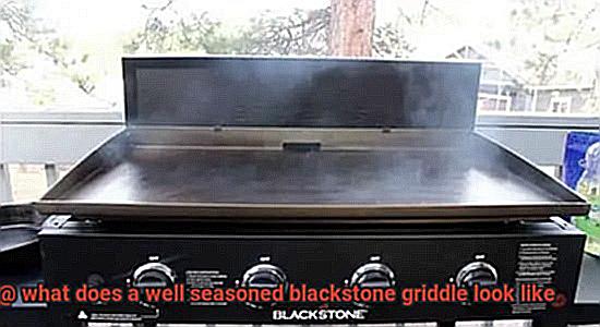 what does a well seasoned blackstone griddle look like-2