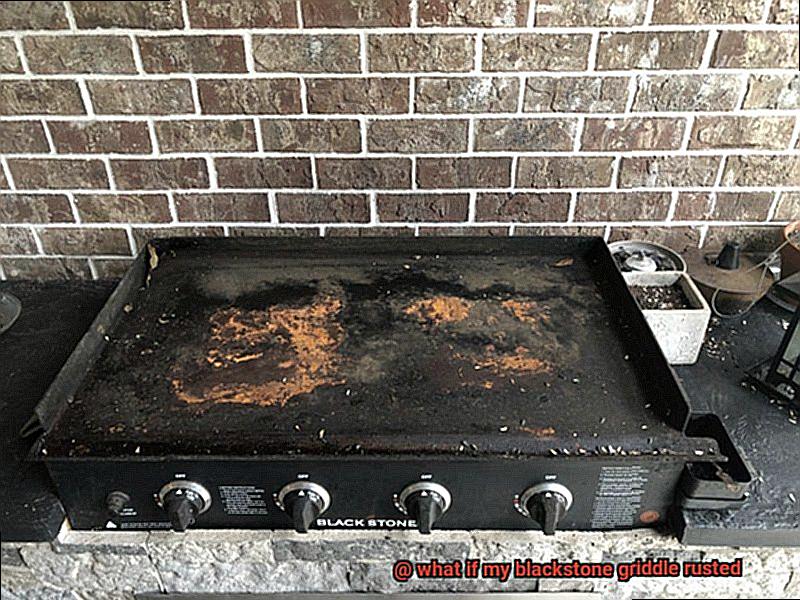 what if my blackstone griddle rusted-5