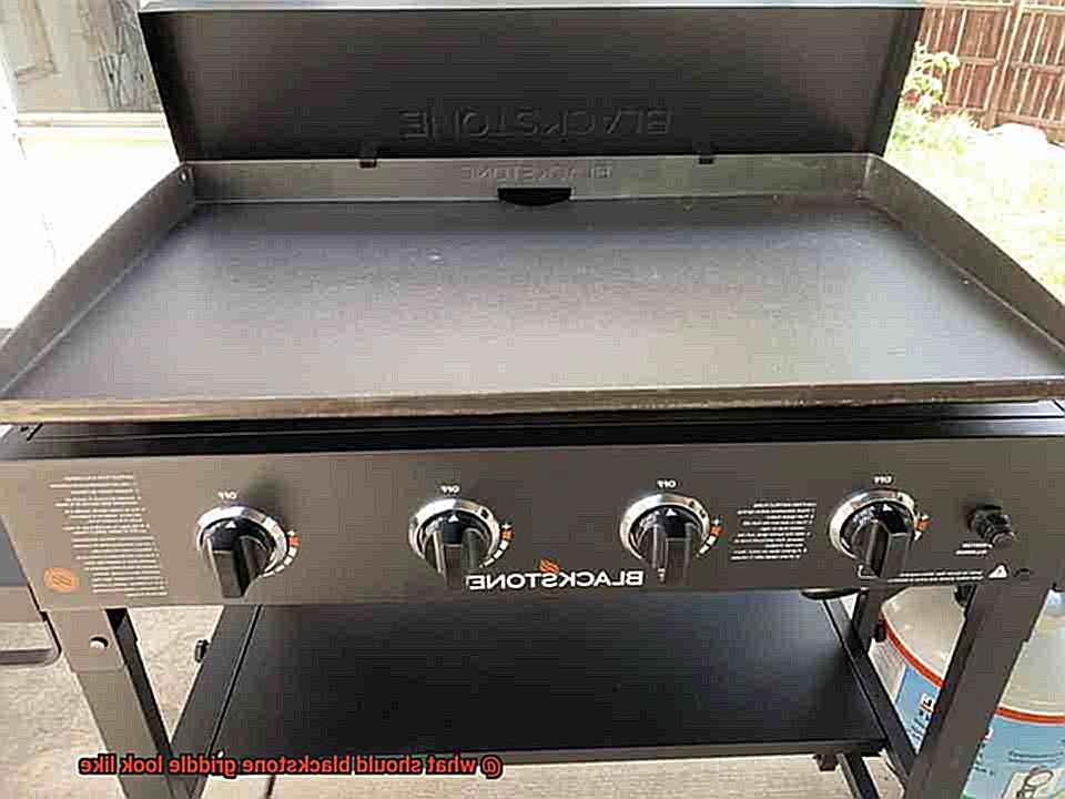 what should blackstone griddle look like-2