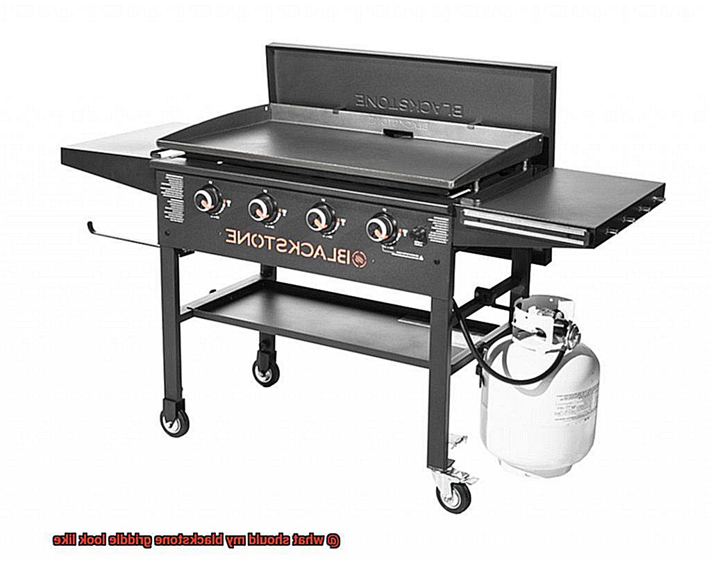 what should my blackstone griddle look like-3