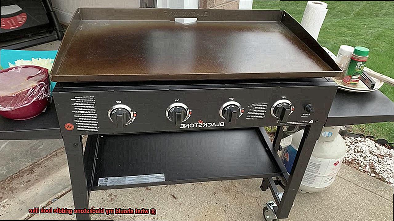 what should my blackstone griddle look like-4