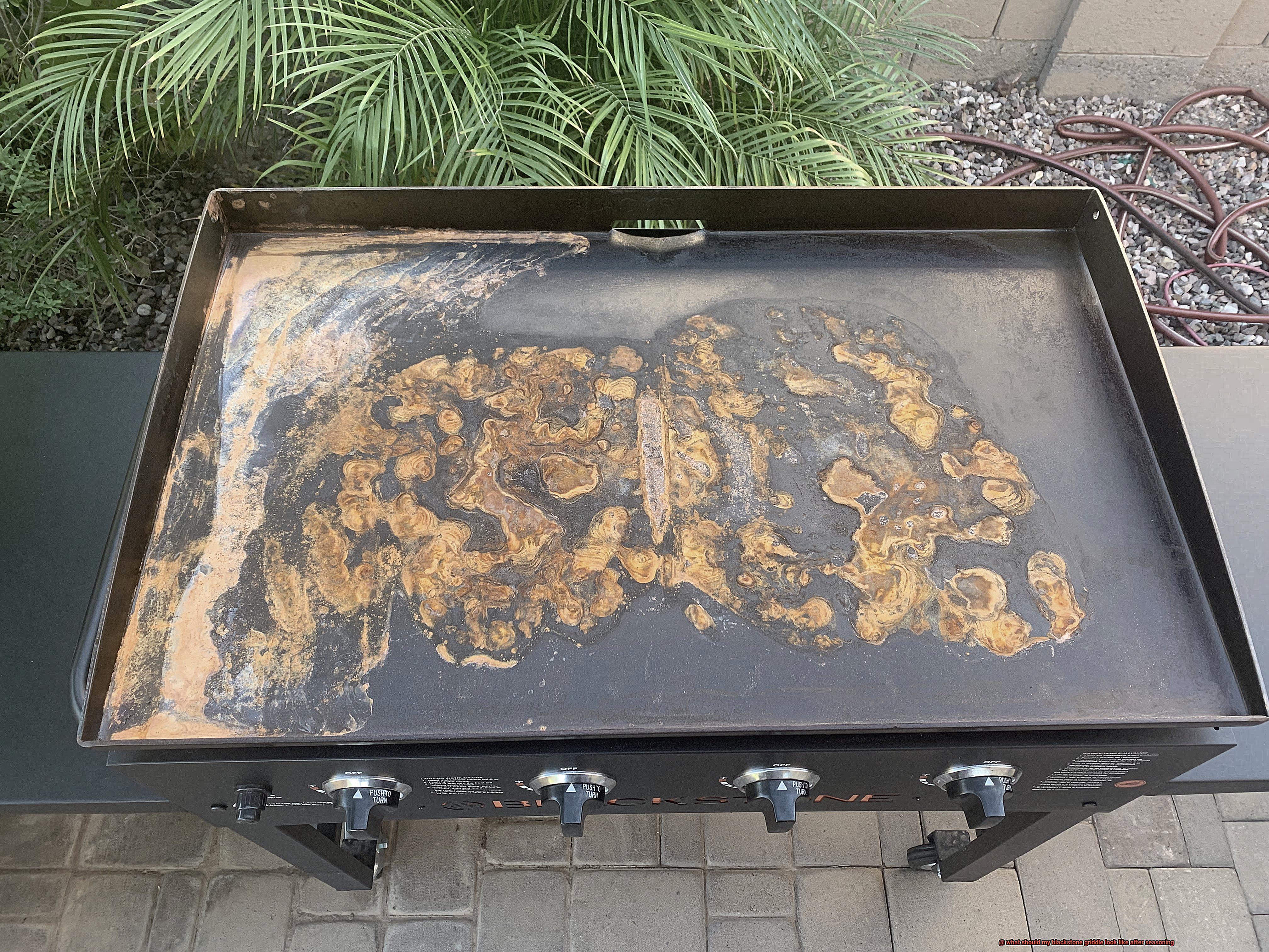 what should my blackstone griddle look like after seasoning-4