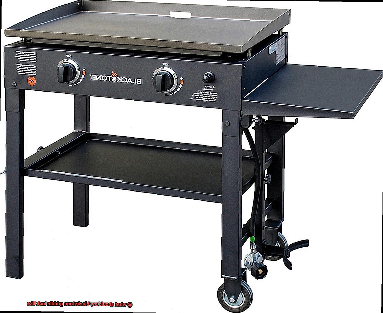 what should my blackstone griddle look like-6