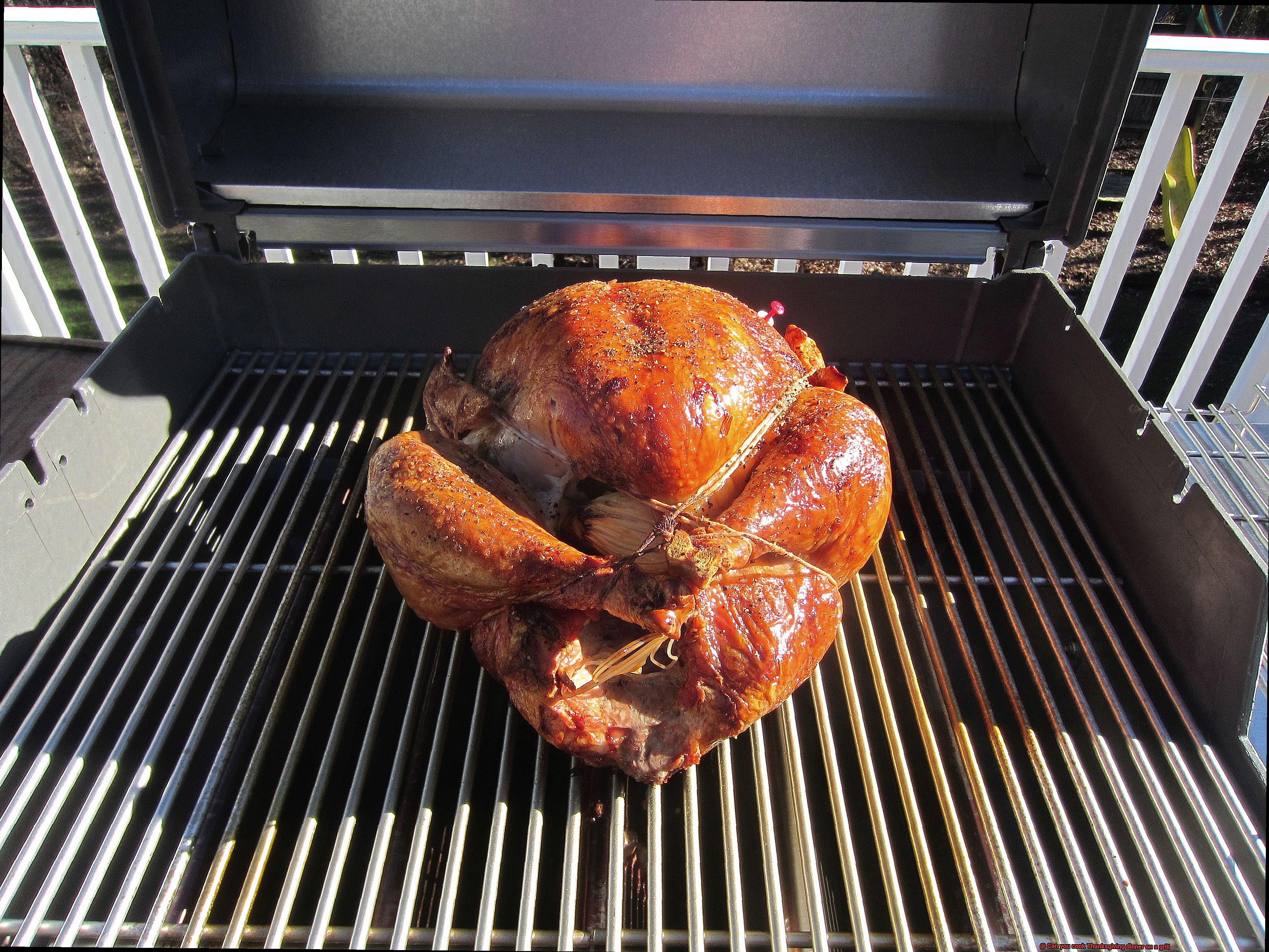 Can you cook Thanksgiving dinner on a grill-8