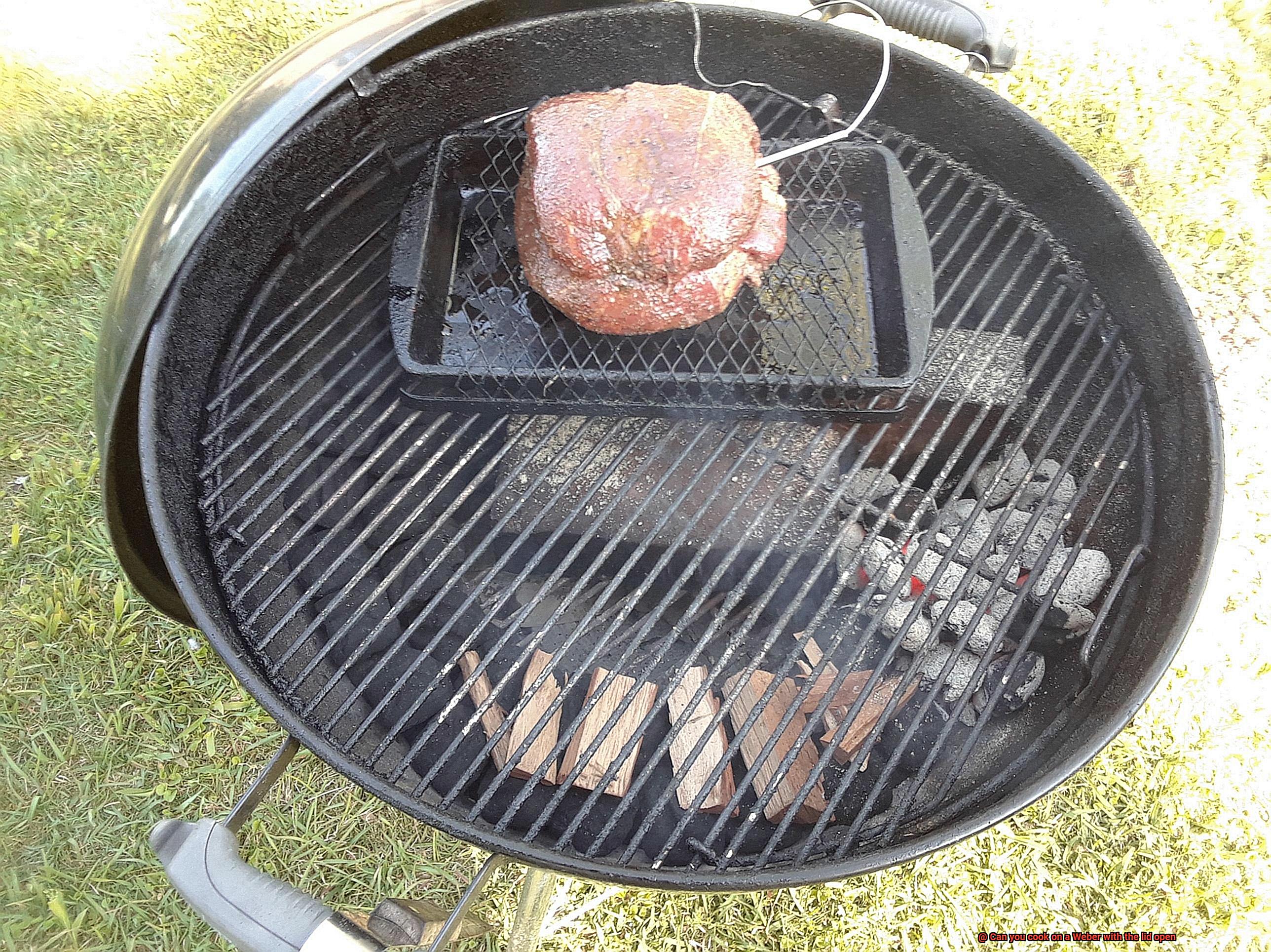 Can you cook on a Weber with the lid open-9