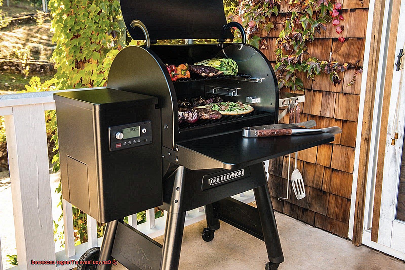 Can you leave a Traeger uncovered -3