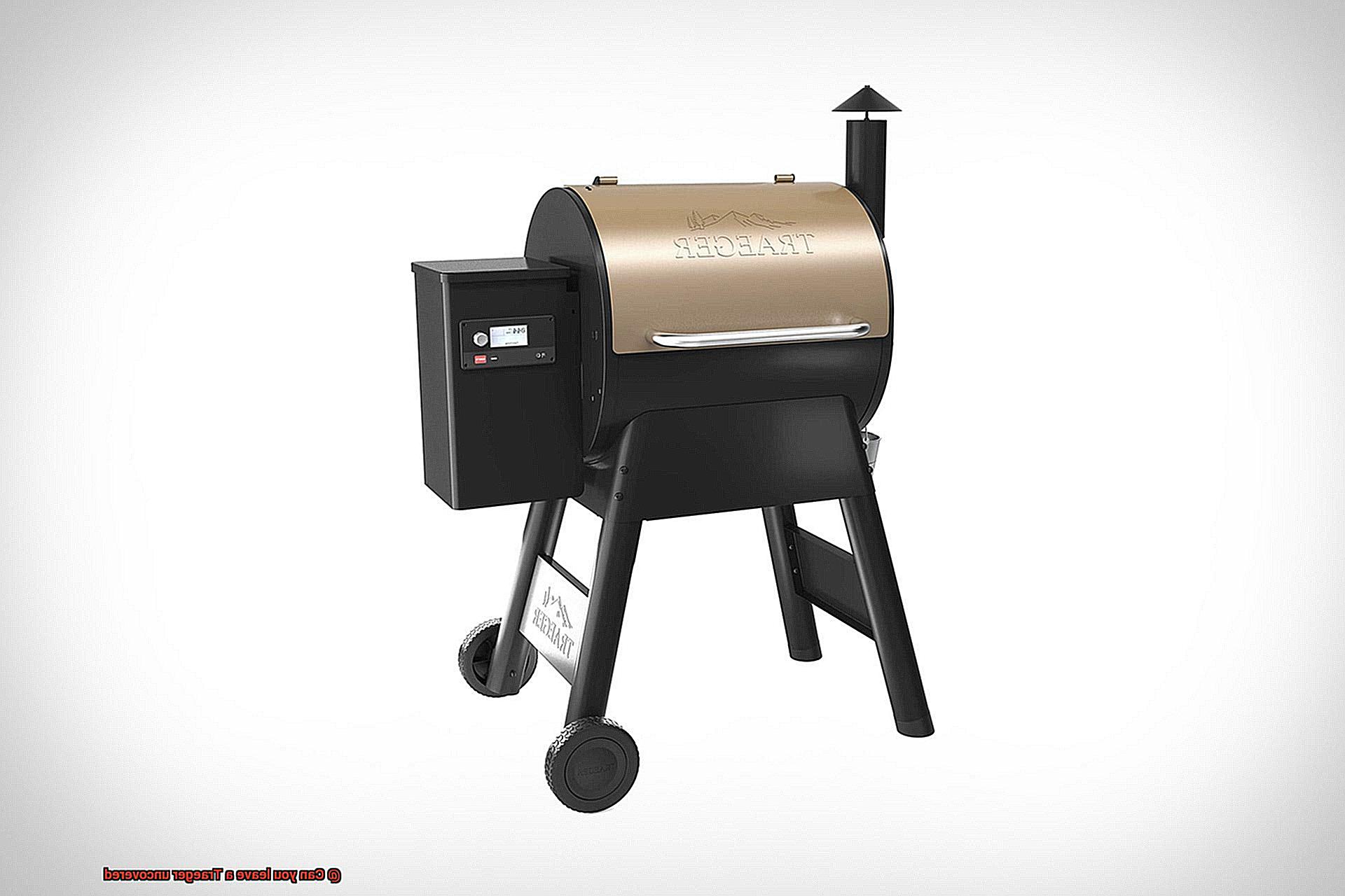 Can you leave a Traeger uncovered -2