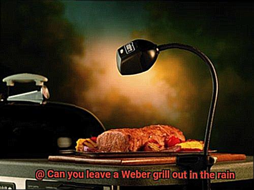 Can you leave a Weber grill out in the rain-2