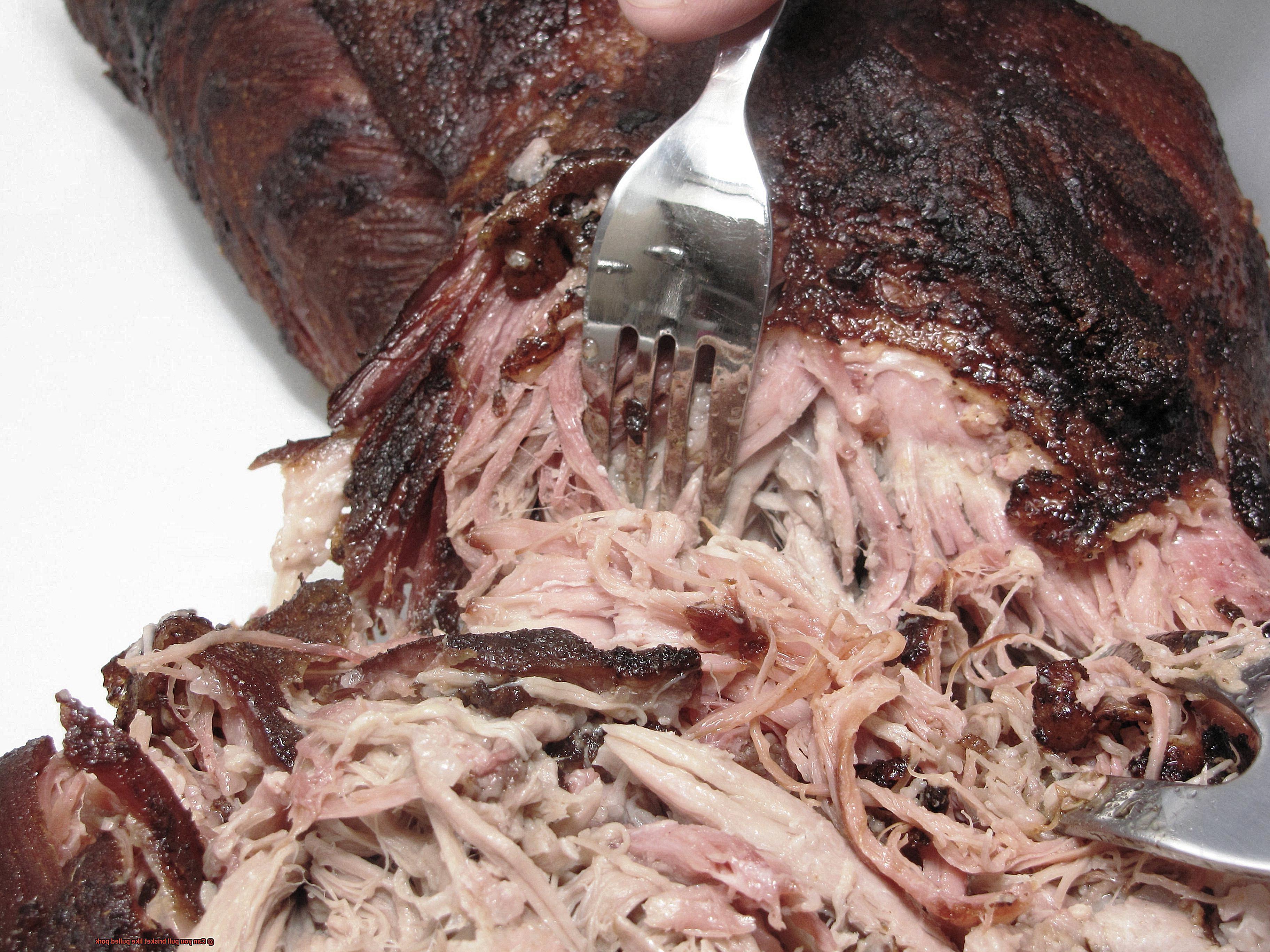 Can you pull brisket like pulled pork-9
