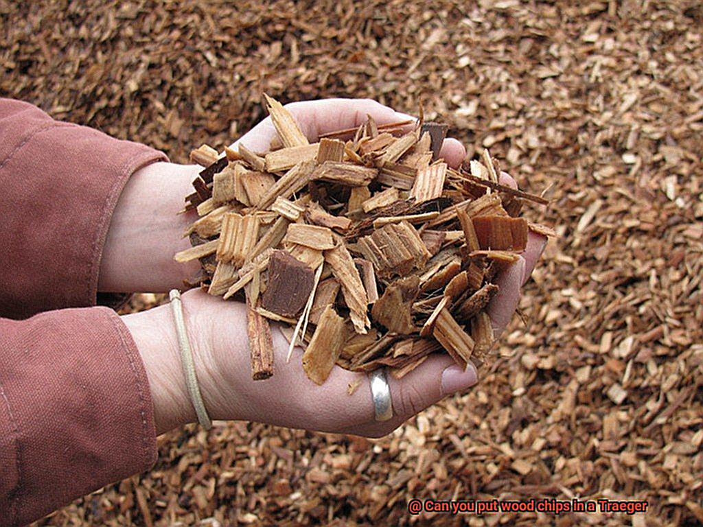 Can you put wood chips in a Traeger -4