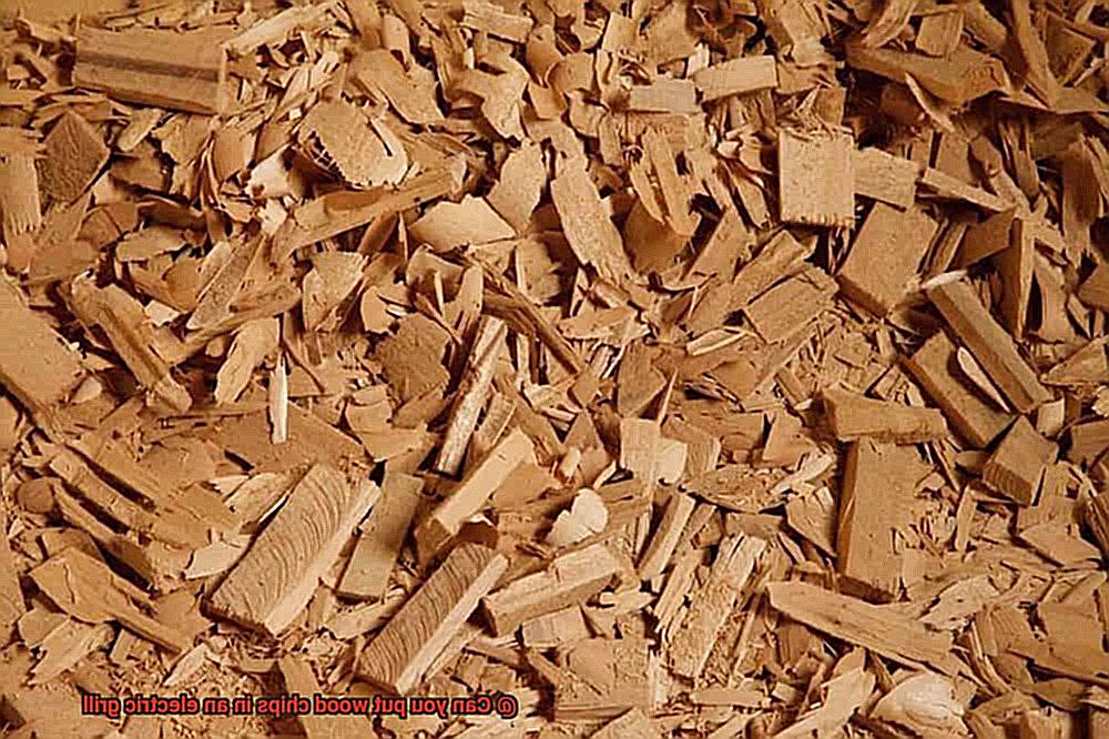 Can you put wood chips in an electric grill-2