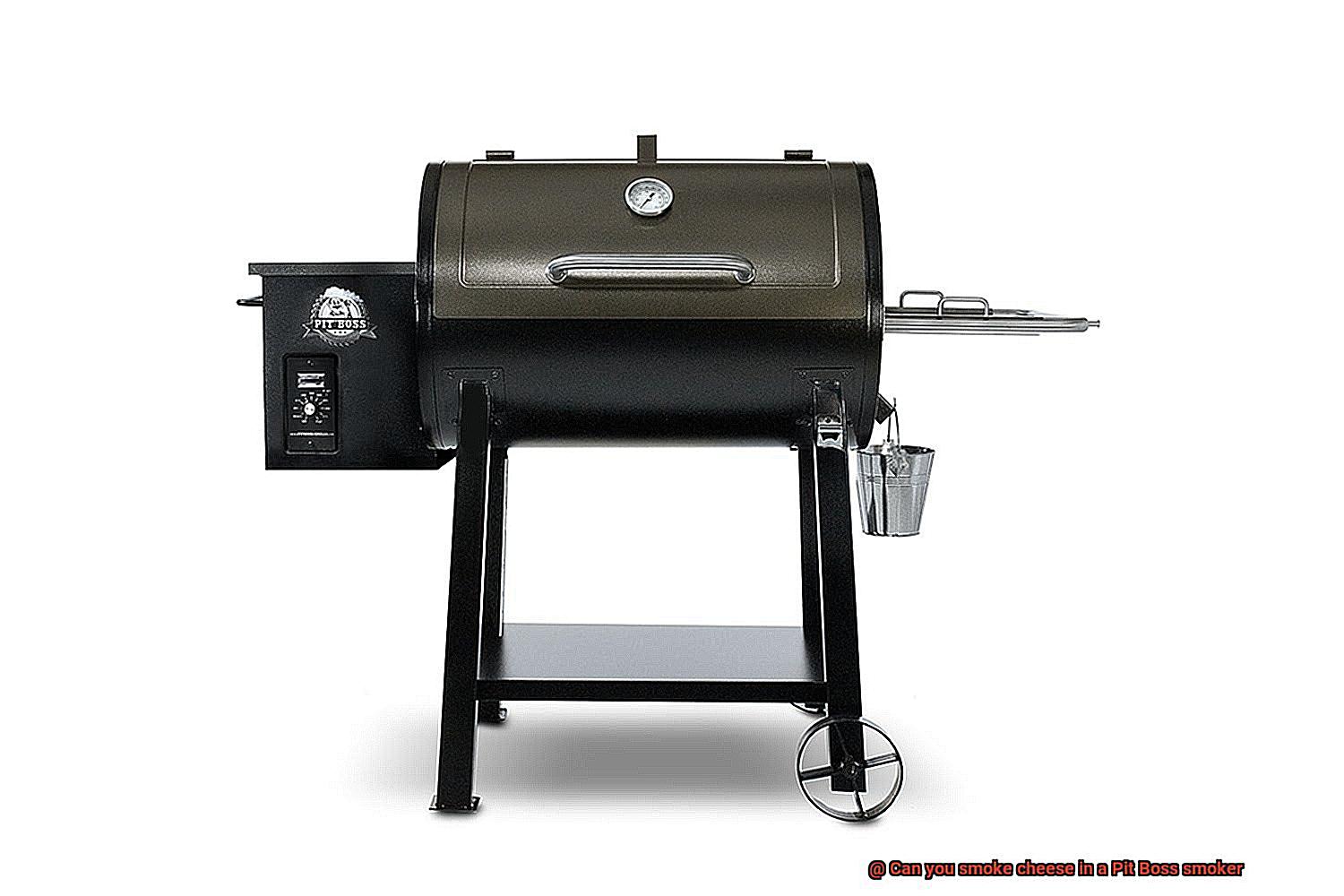Can you smoke cheese in a Pit Boss smoker-2