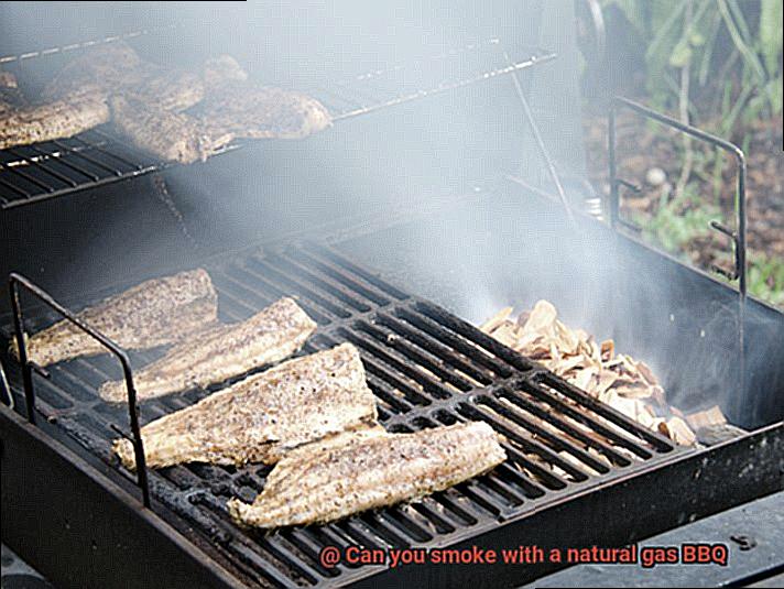 Can you smoke with a natural gas BBQ-3