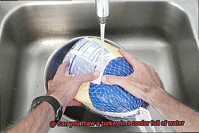 Can you thaw a turkey in a cooler full of water-2