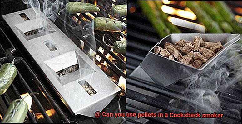 Can you use pellets in a Cookshack smoker-2