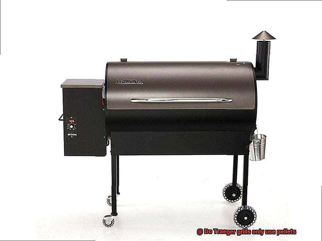 Do Traeger grills only use pellets -2