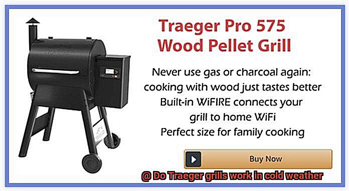 Do Traeger grills work in cold weather-4