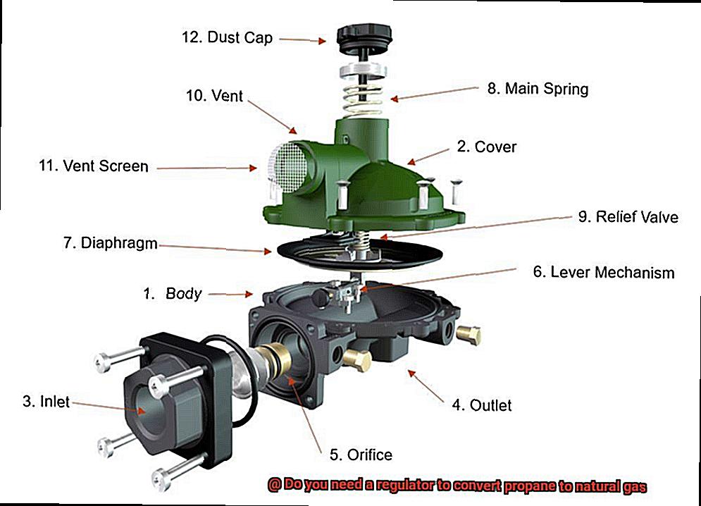 Do you need a regulator to convert propane to natural gas-2