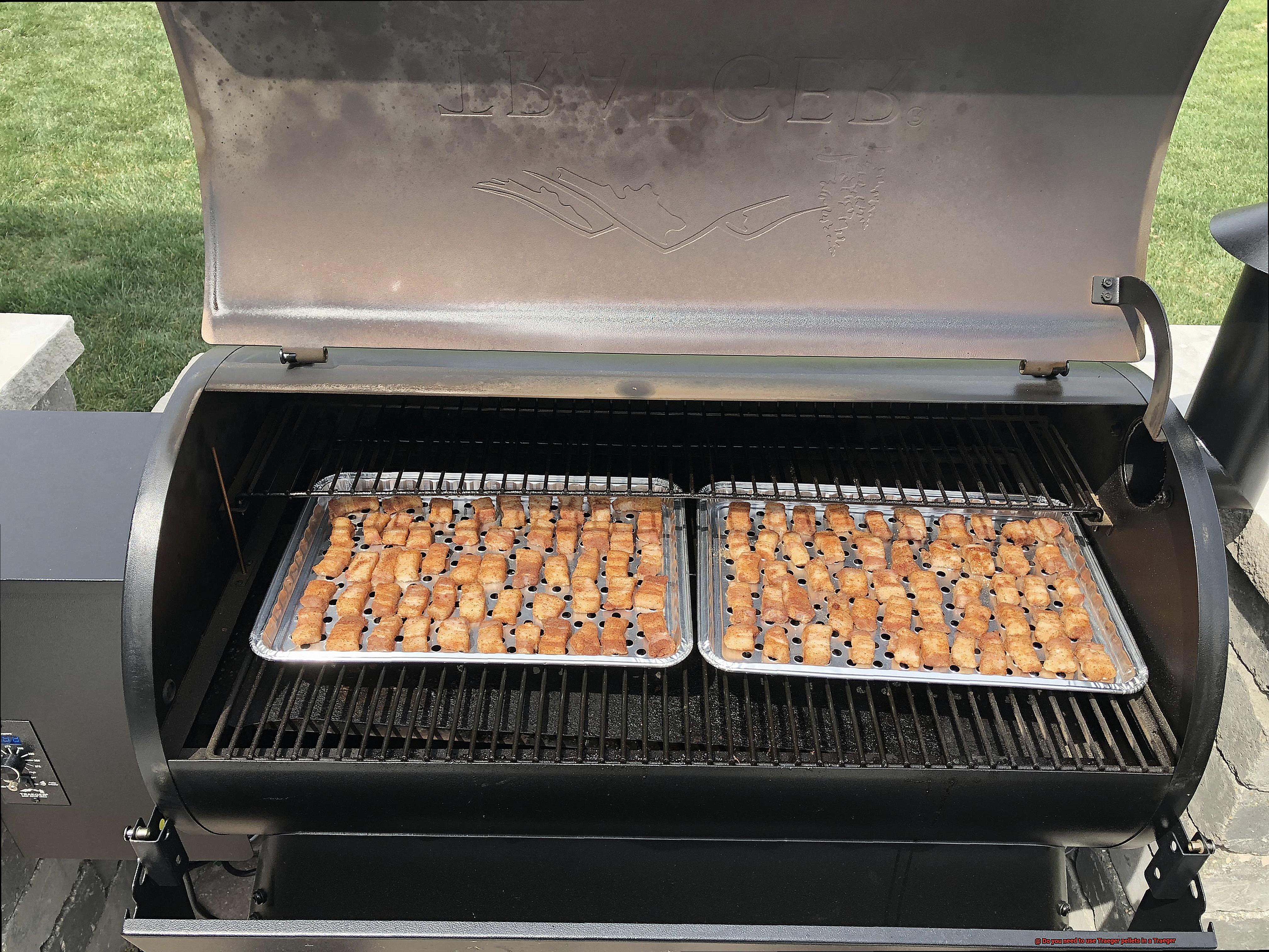 Do you need to use Traeger pellets in a Traeger-2