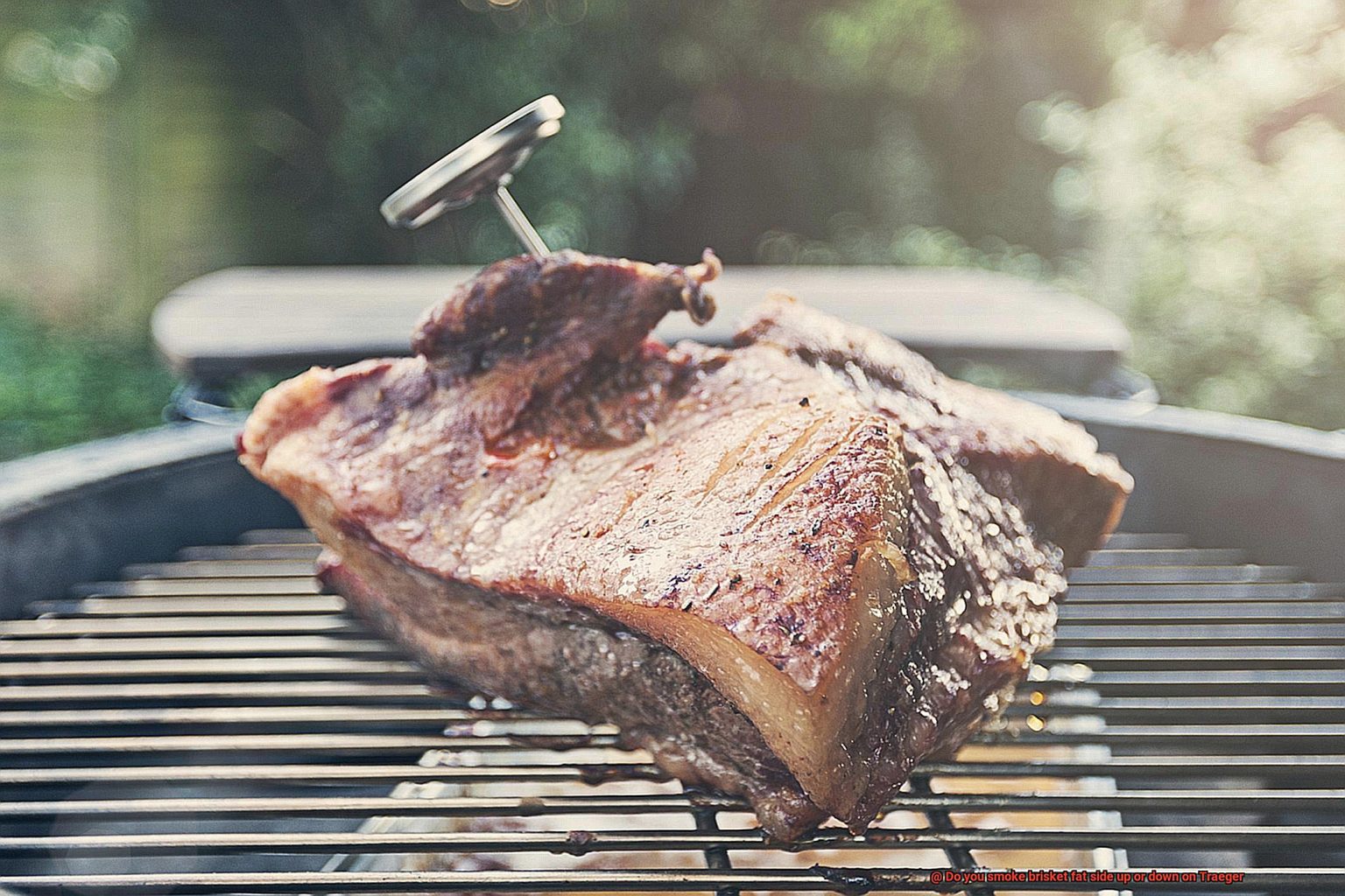 Do You Smoke Brisket Fat Side Up Or Down On Traeger? - Pastime Bar And ...