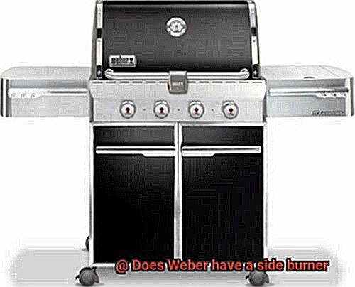 Does Weber have a side burner-2